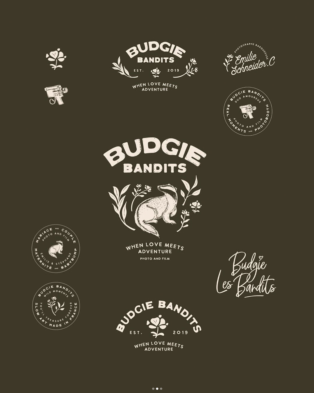 BudgieBandits_Identite