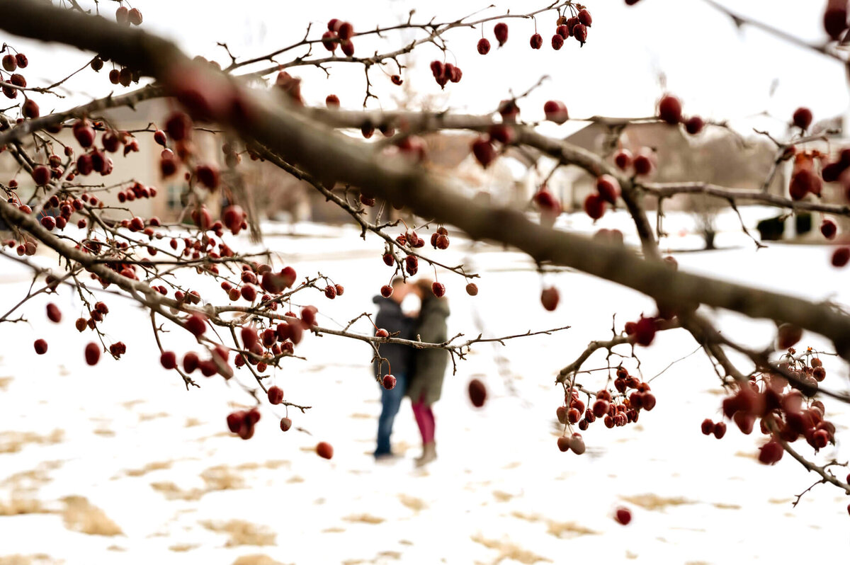 Artistic view of married couple kissing in the distance through winter berries during a couples photography session near Naperville, IL.