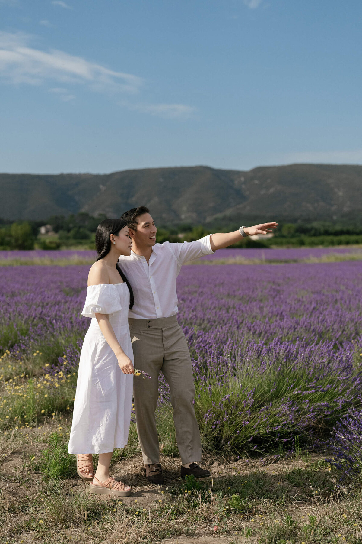 Pre wedding lavender photo shoot in the Luberon