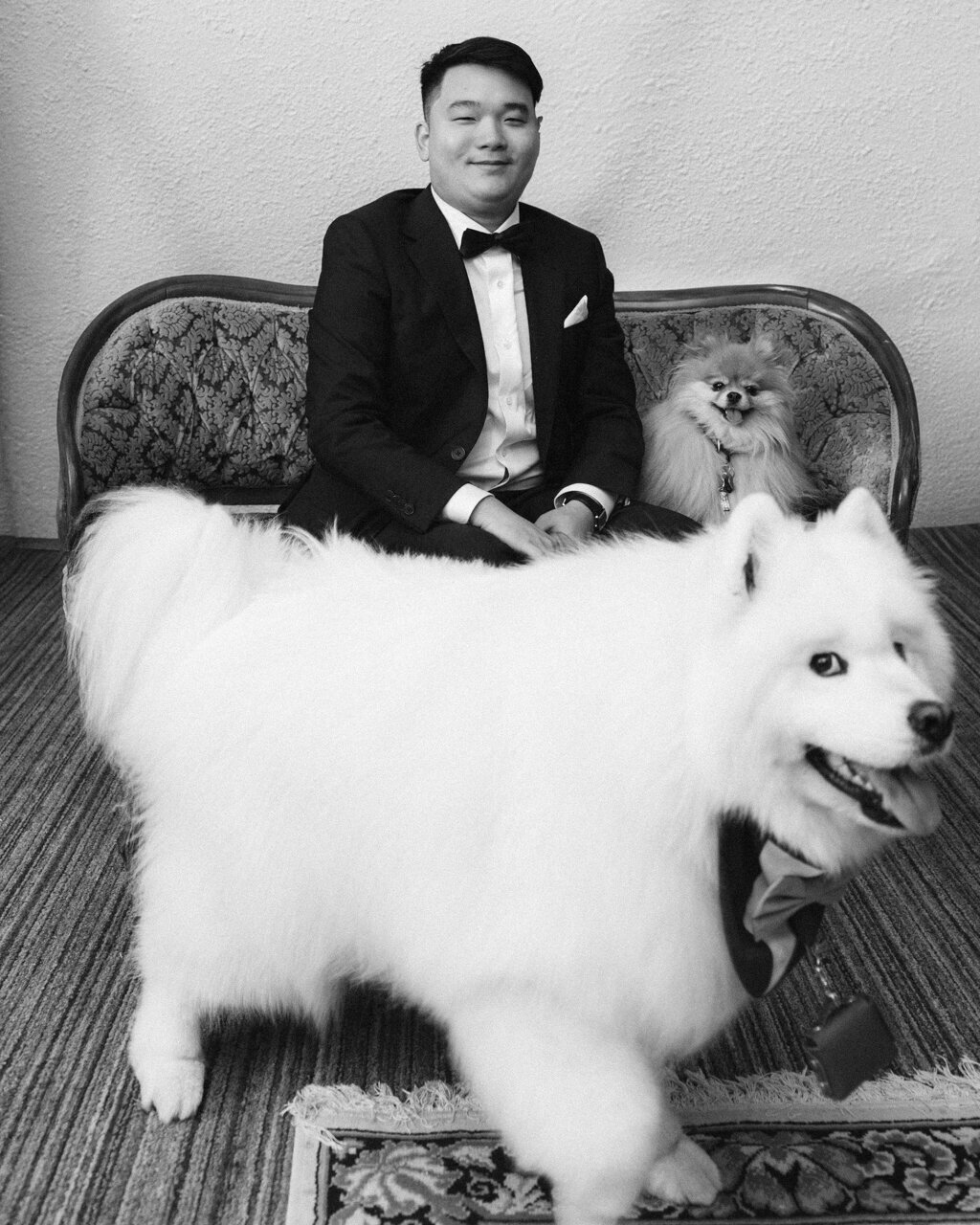 dog-film-wedding-photographer-raphaellegranger