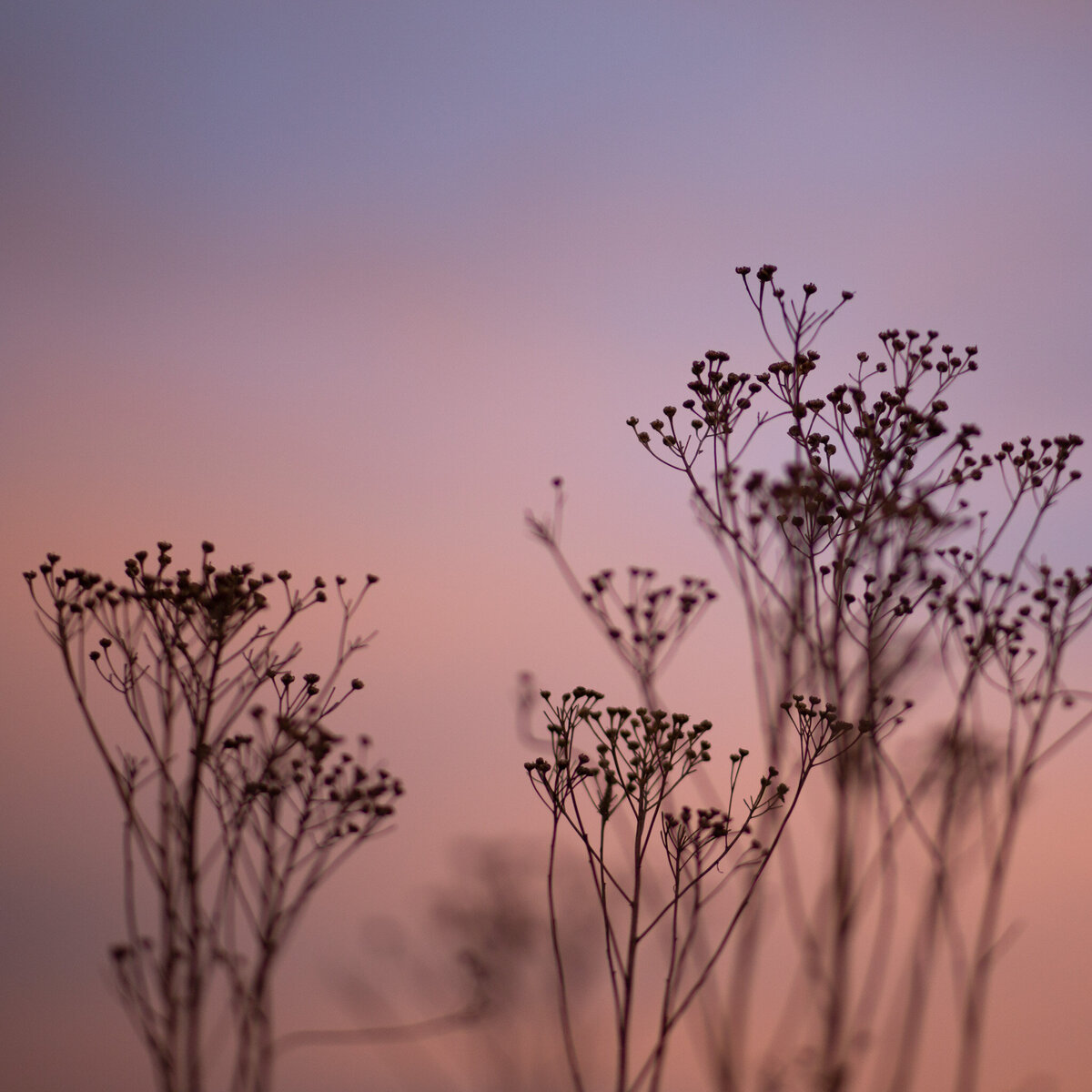 fine_art_photographer _049