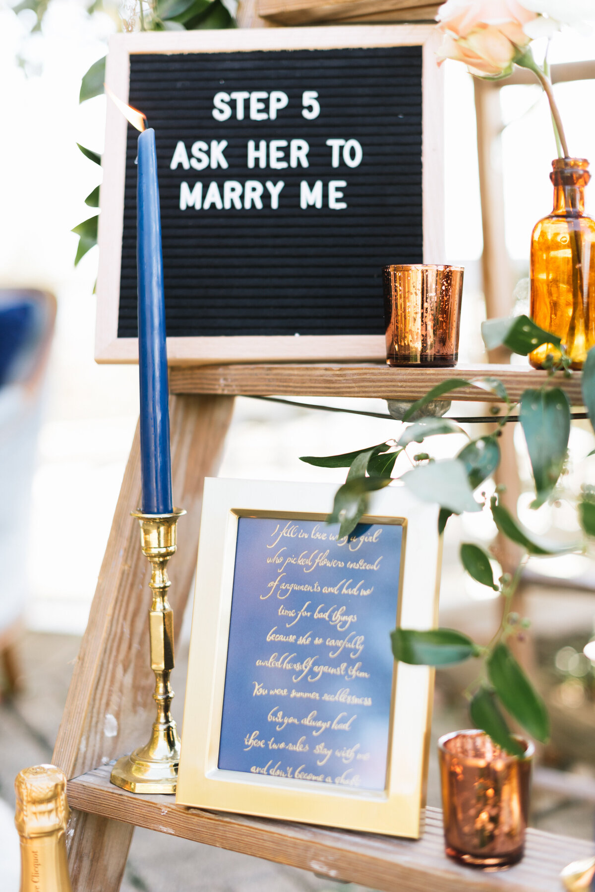 annapolis-maryland-surprise-engagement-tonya-volk-photography-13