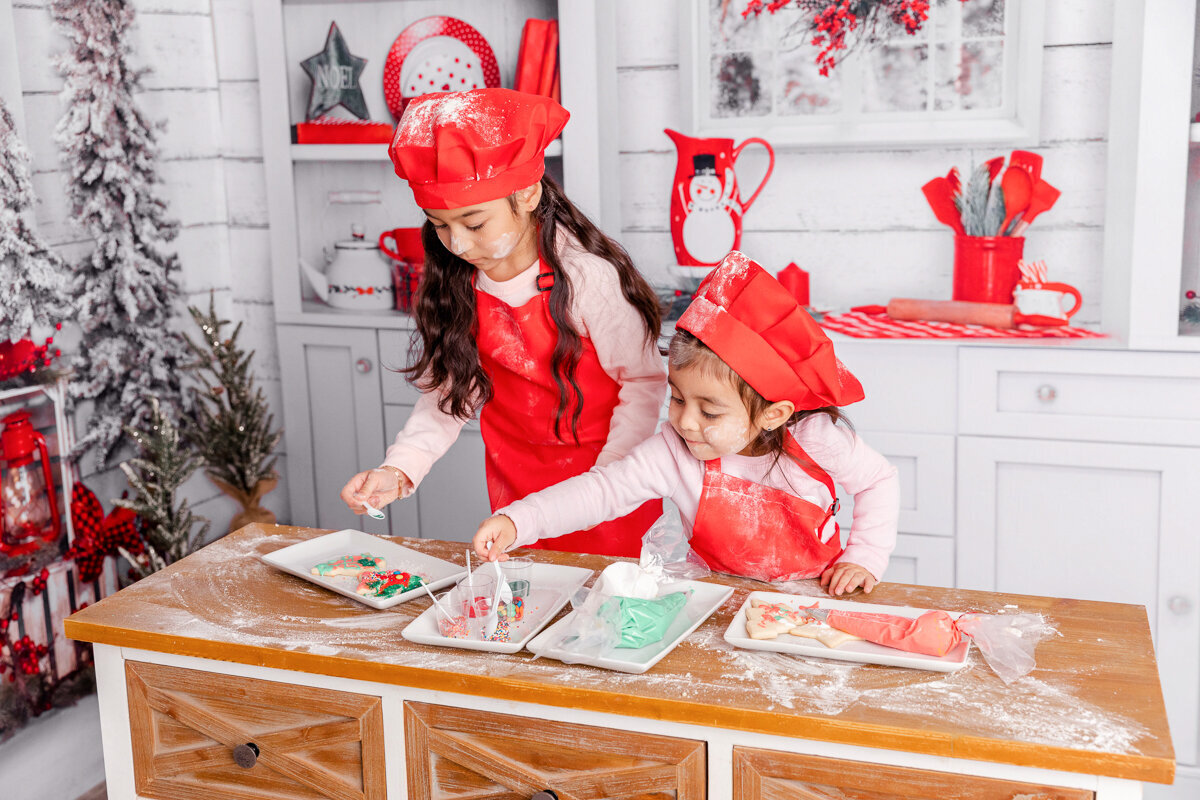 new-jersey-christmas-minis-12