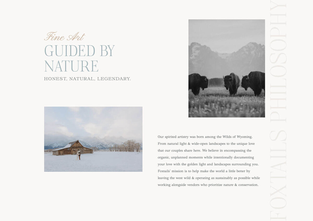 Foxtails-Photography_Philosophy_canva-website