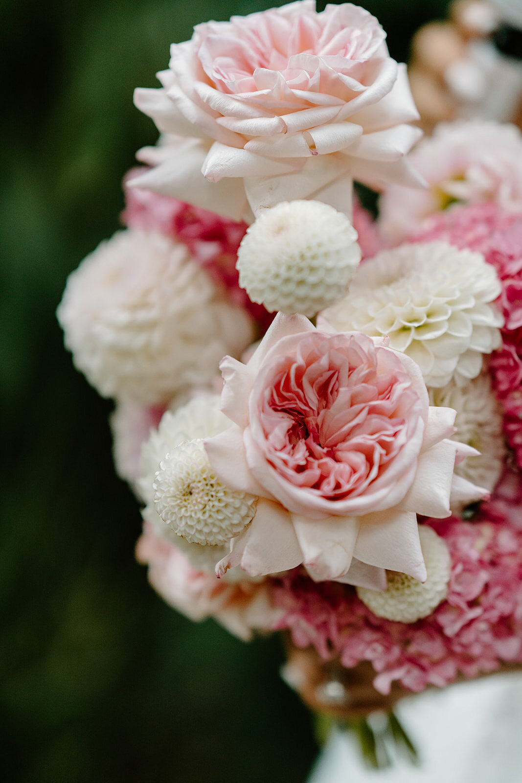 Alison&Carmel-889_websize