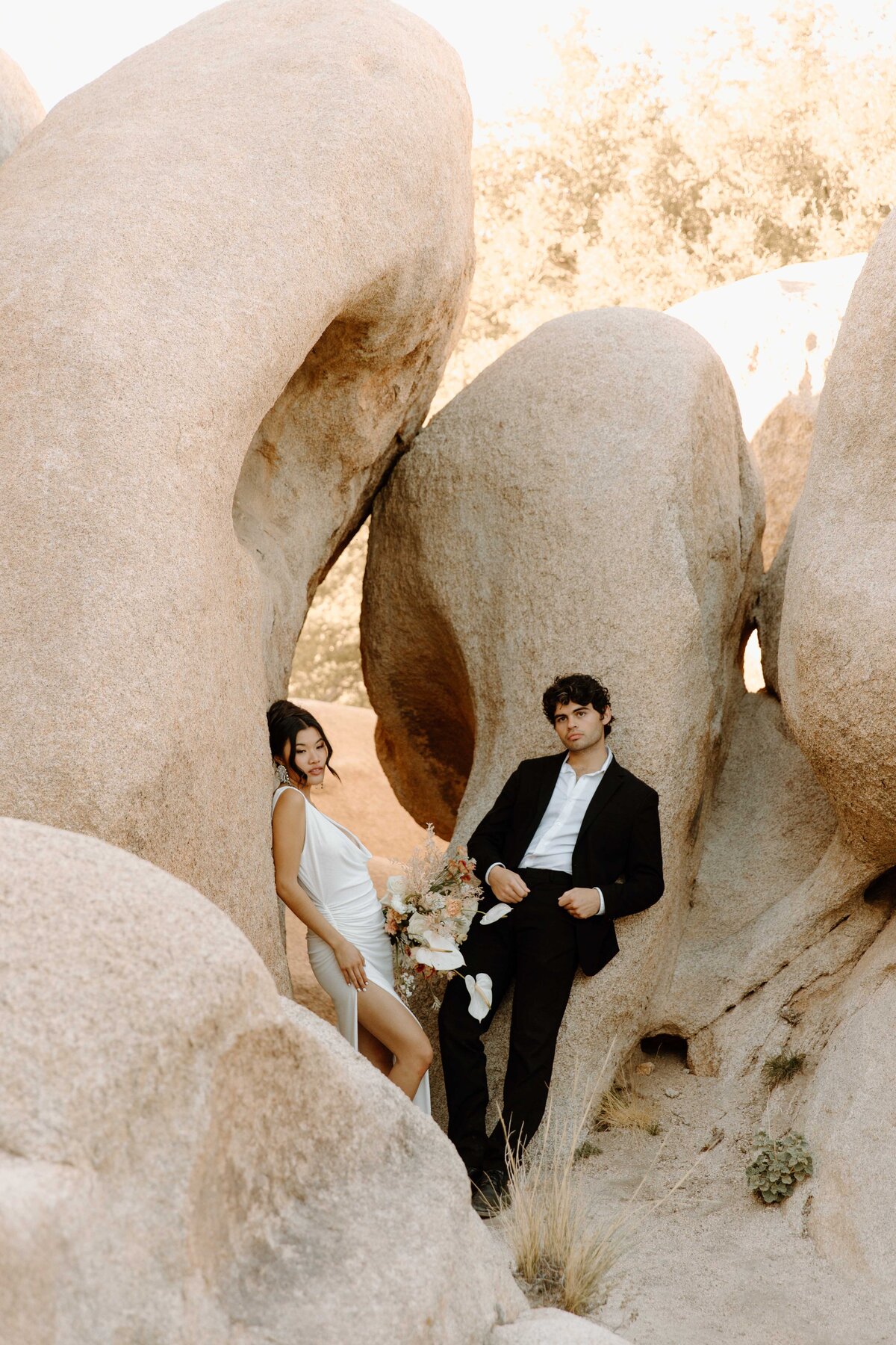 Elegant-Joshua-Tree-Wedding-Photos_2569