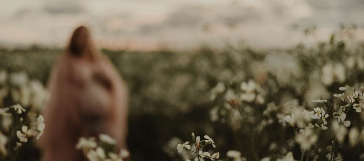 pregnant woman in a field with the close up on foreground flowers and the woman in the distance