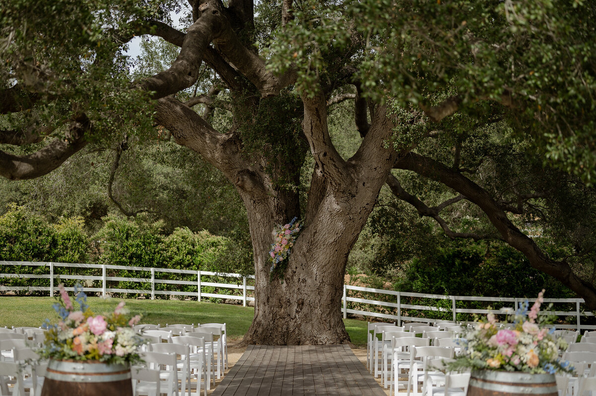 abstillsphotography_weddingelopementphotographer-174