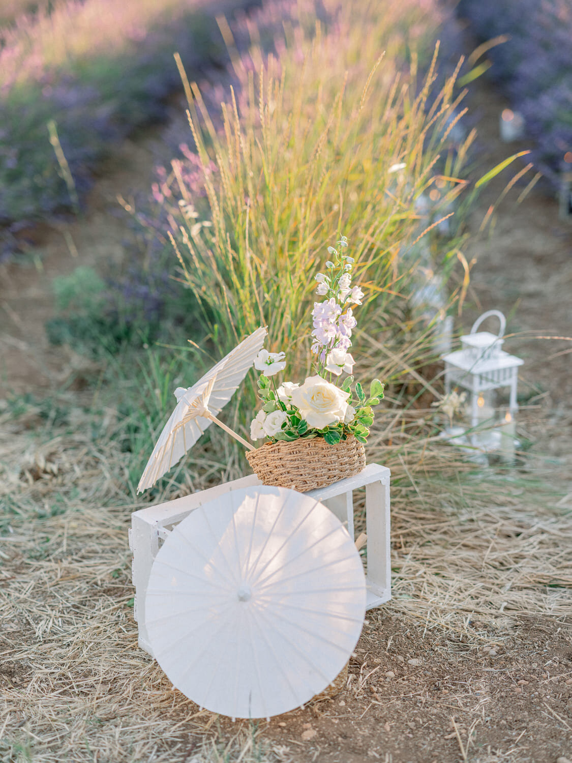 Marriage-proposal-in-the-lavender-fields1