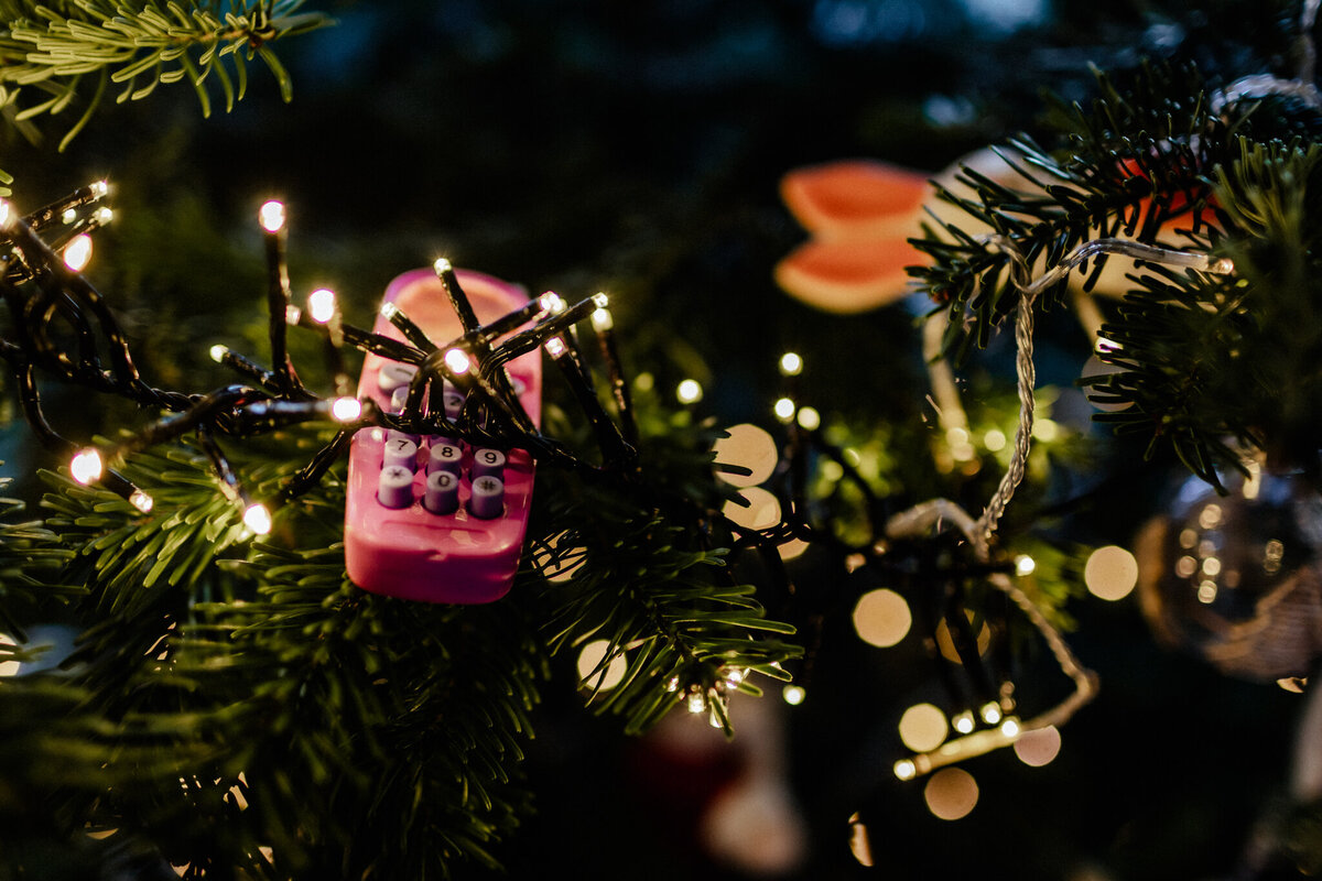 houston-Christmas-mini-sessions-2024-52