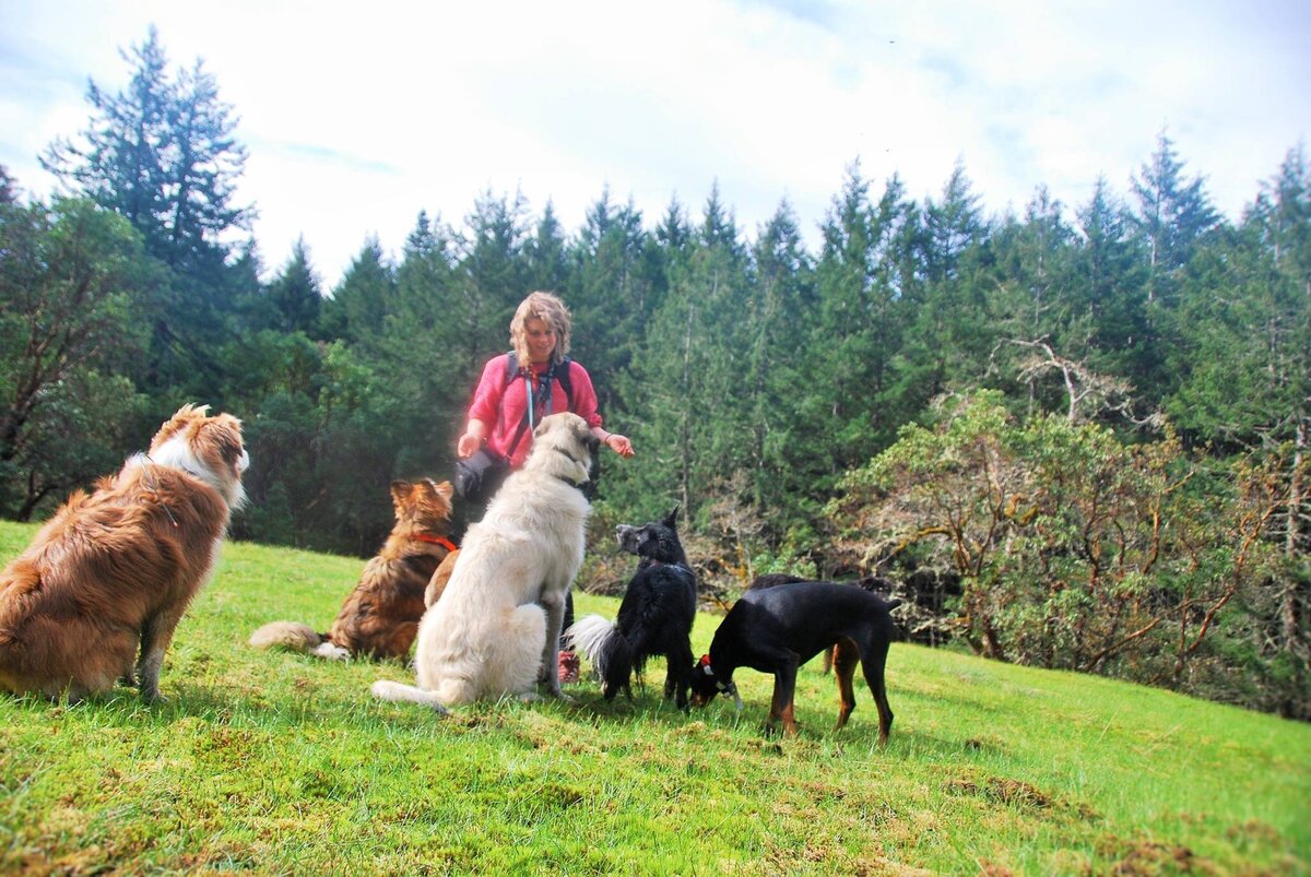 468325490_10229824172482496_3334175332732107211_n