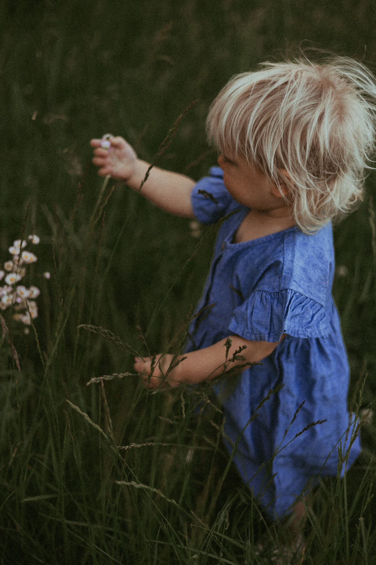 Style_0005