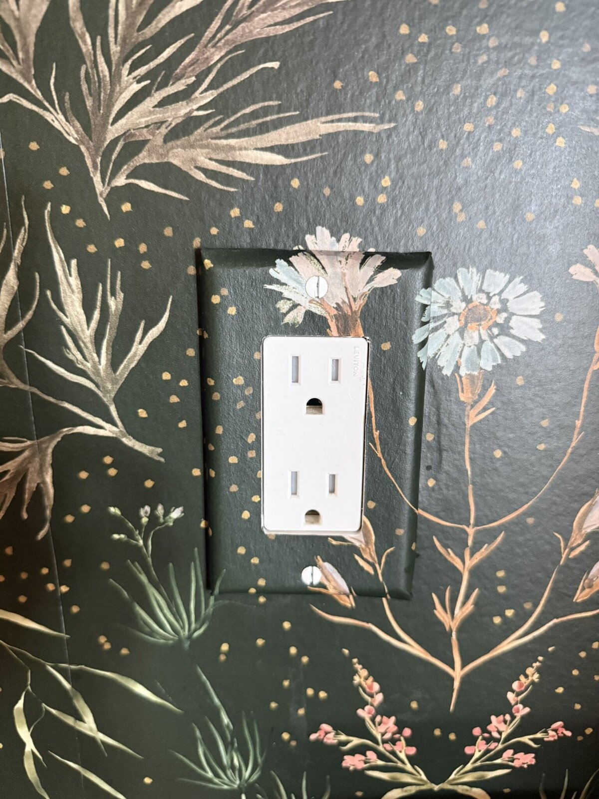 D906787B-696A-4D0B-8FE9-5EE733932488_1_102_o