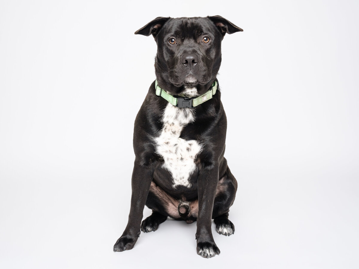Website3500-DSC01106