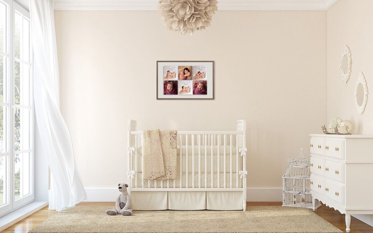 Newborn Collage- Cottage Chic Nursery