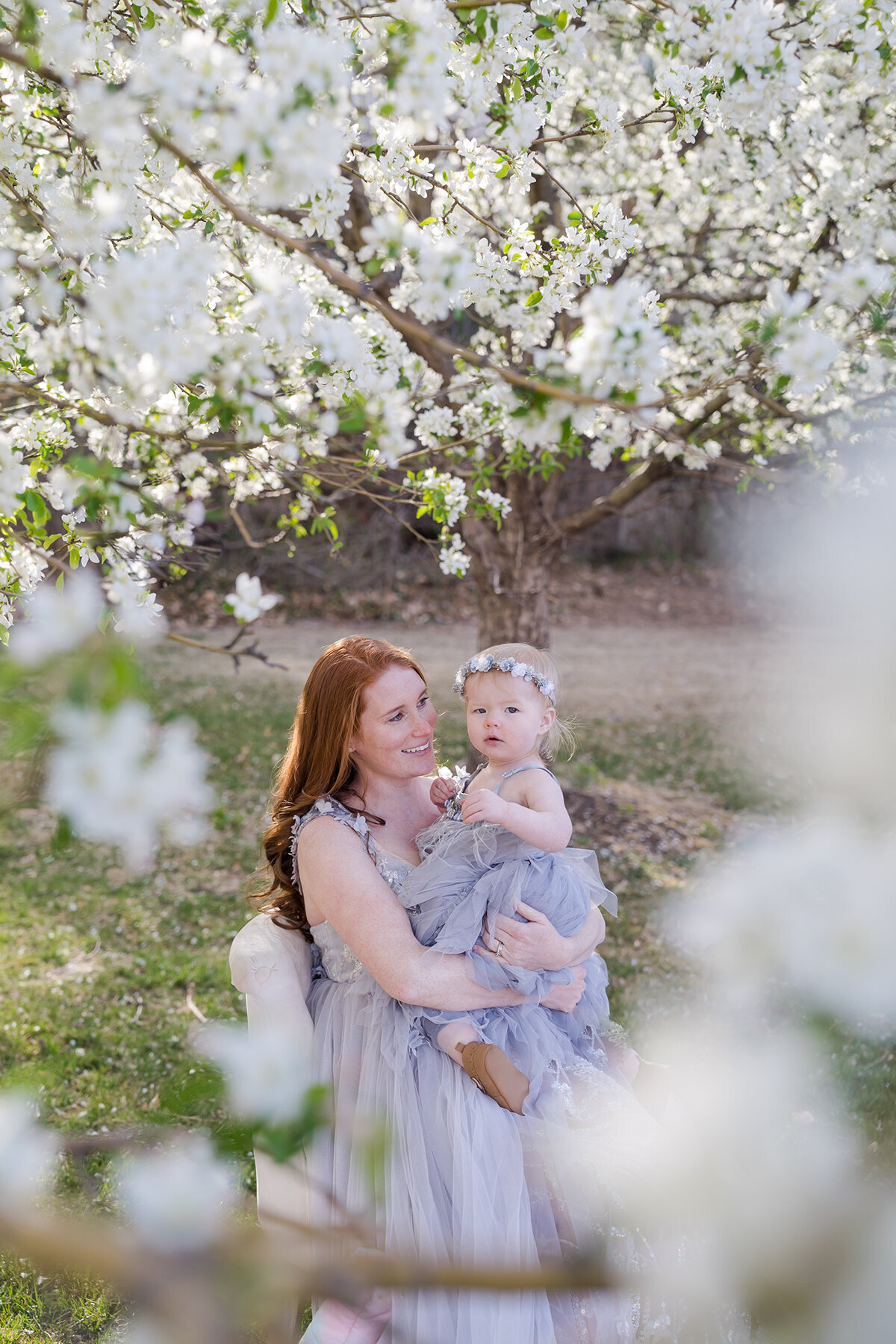 Eldridge Cherry Blossom Spring Minis -1010