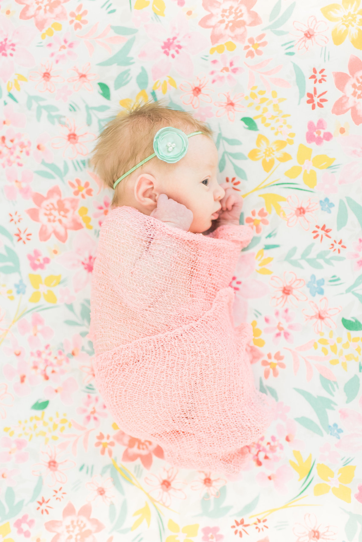 DaisyNewborn0041