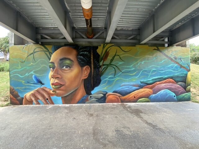 image6 (1)