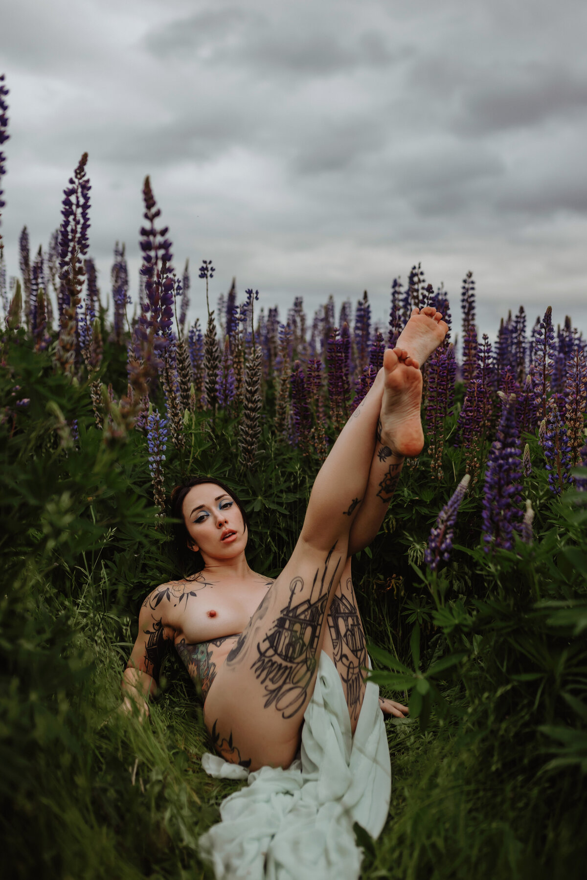 carolyn-lupines-134
