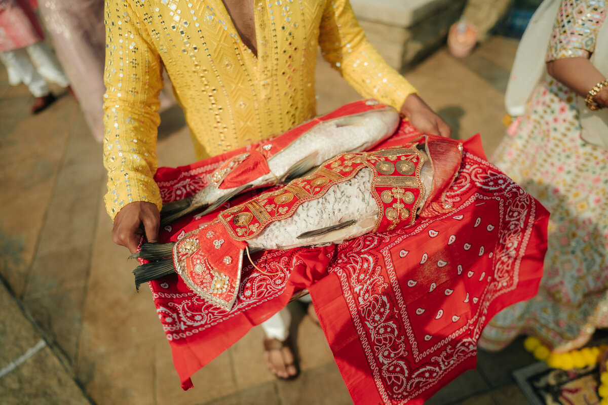 Visuals By Nihal - Shariq Raisa Holud- 38