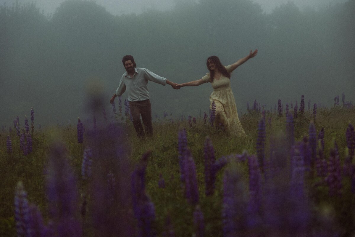 Viewing Lupines in Maine
