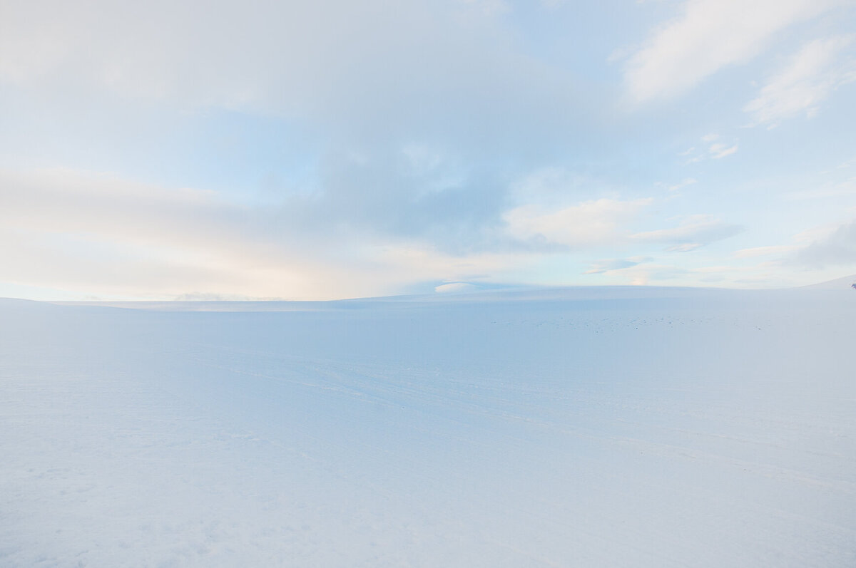 _DSC0539