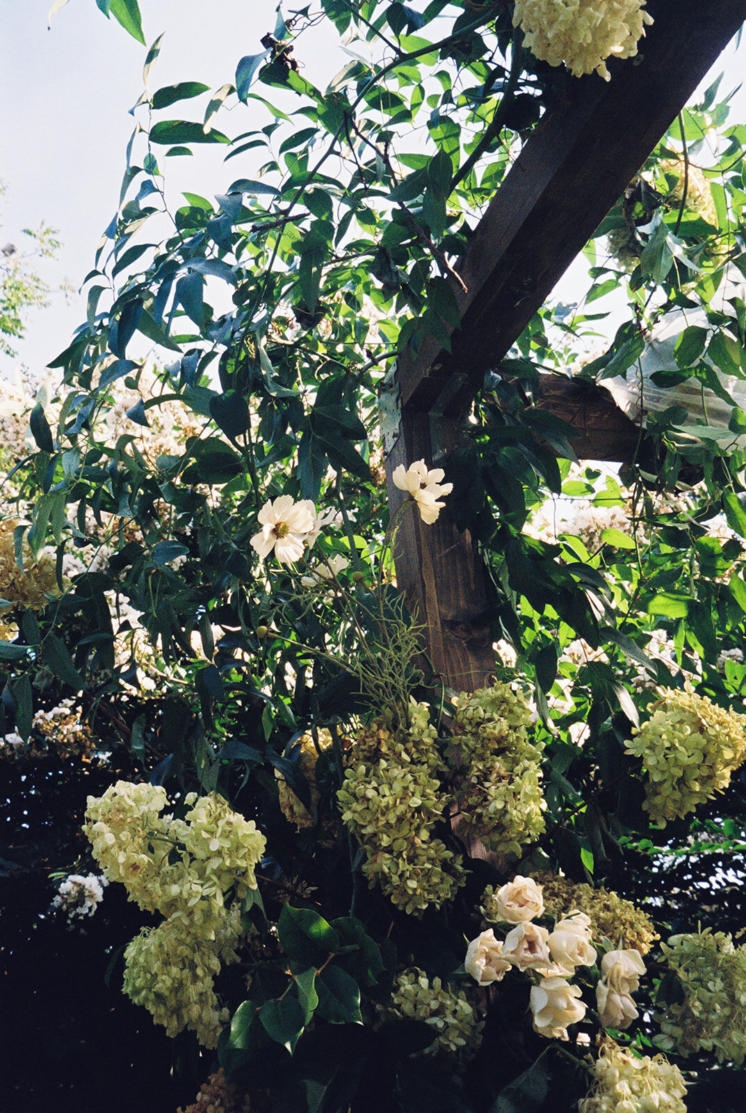 nicoleclareyphoto_kimberly+luke_ceremony-12