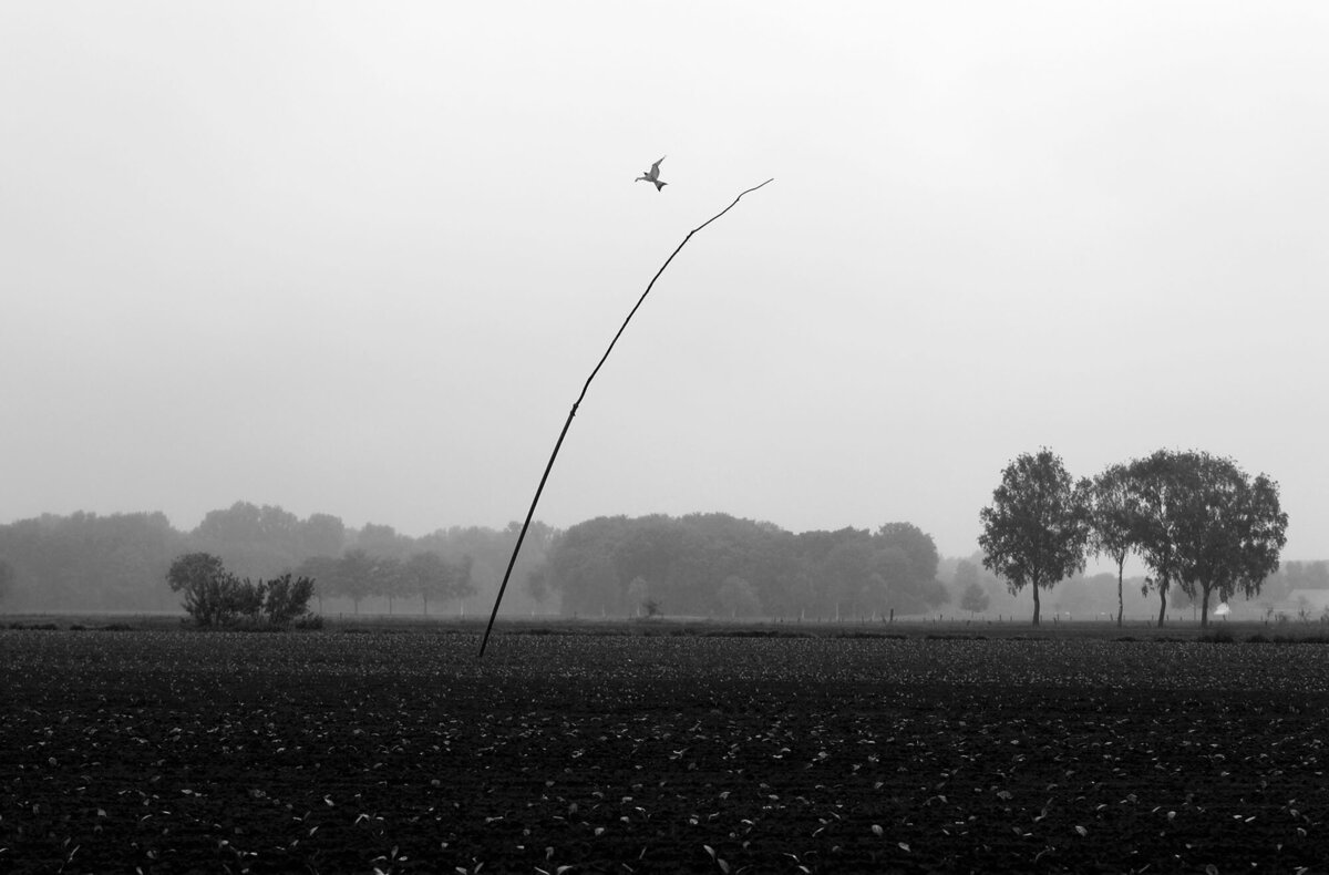 Bart Van der Moeren - De Stille Kempen - 042