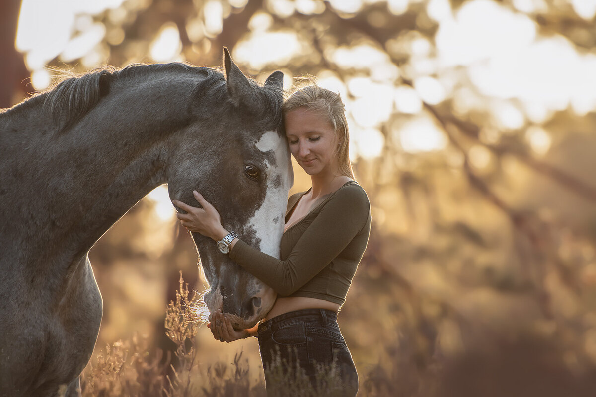 Paardenfotosessie in Nederland