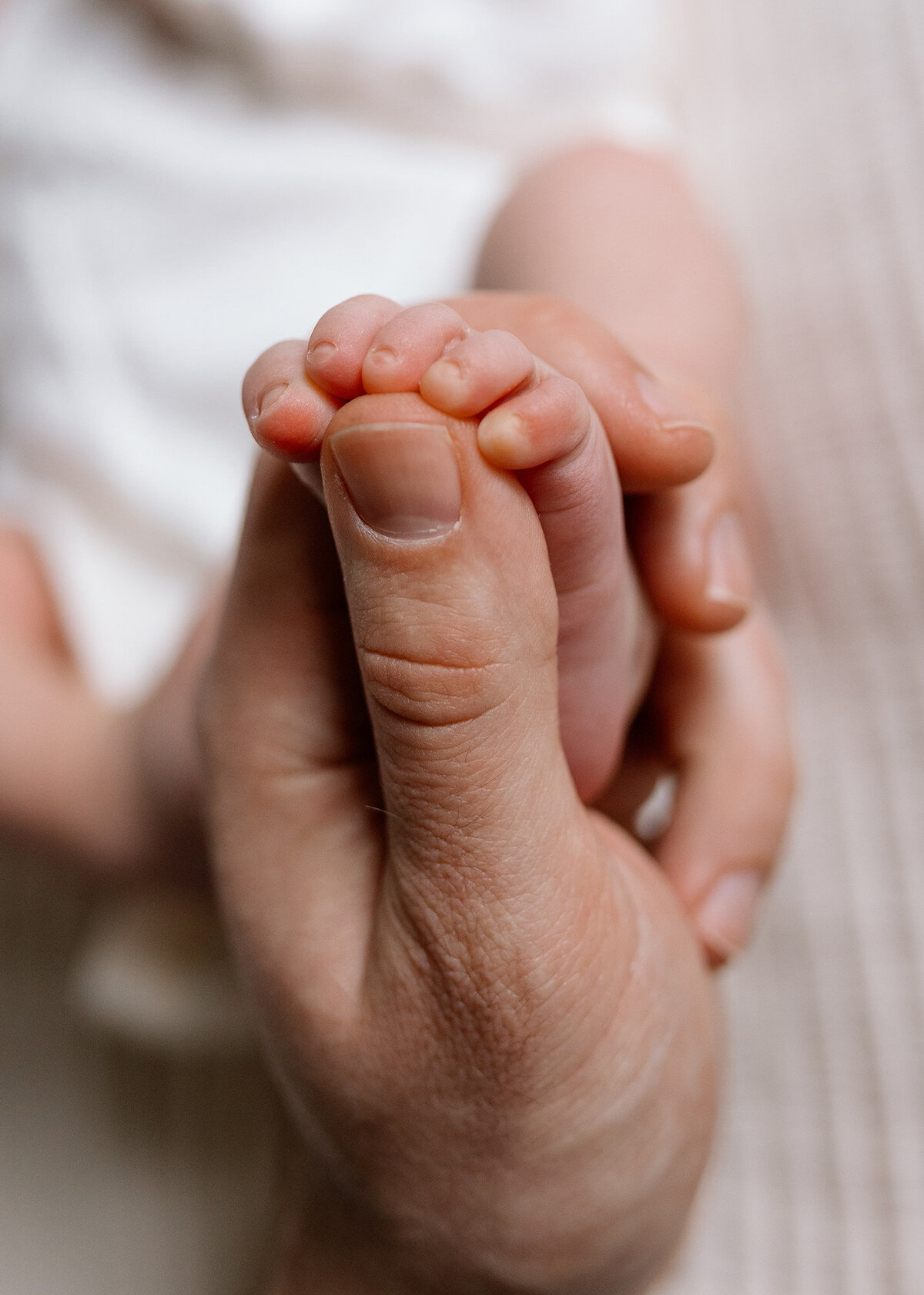 Newborn Photographer