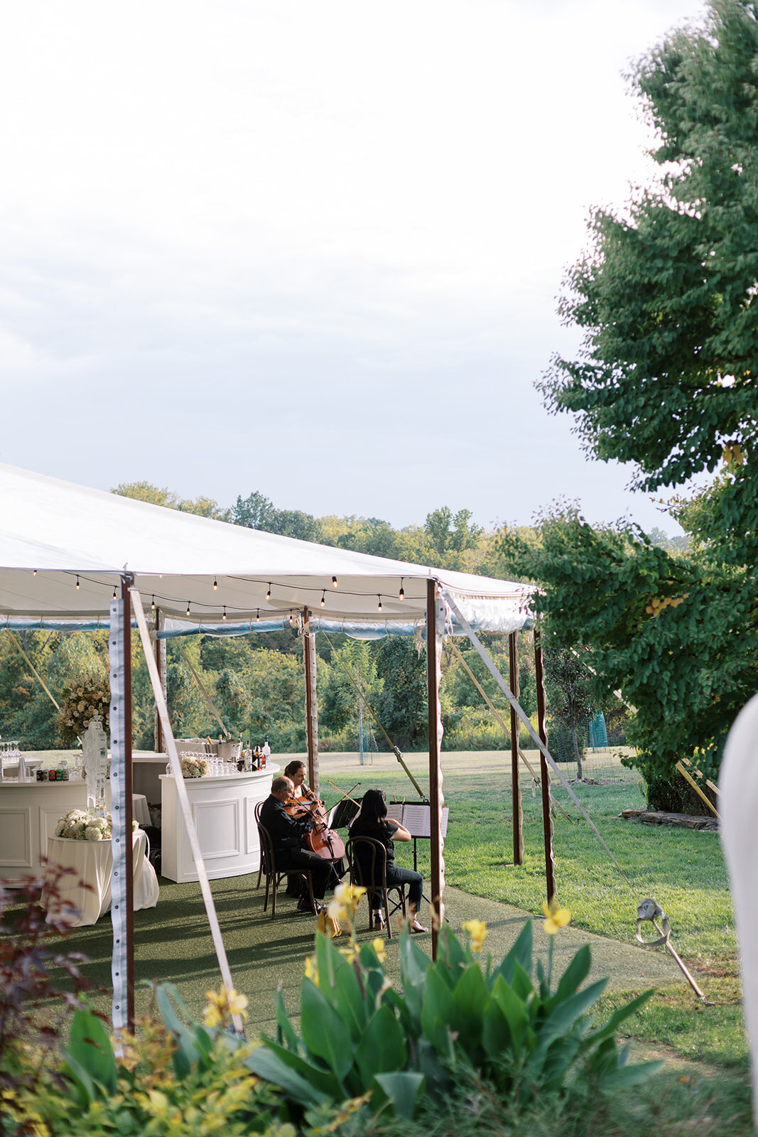 wedding-photos-french-park-65