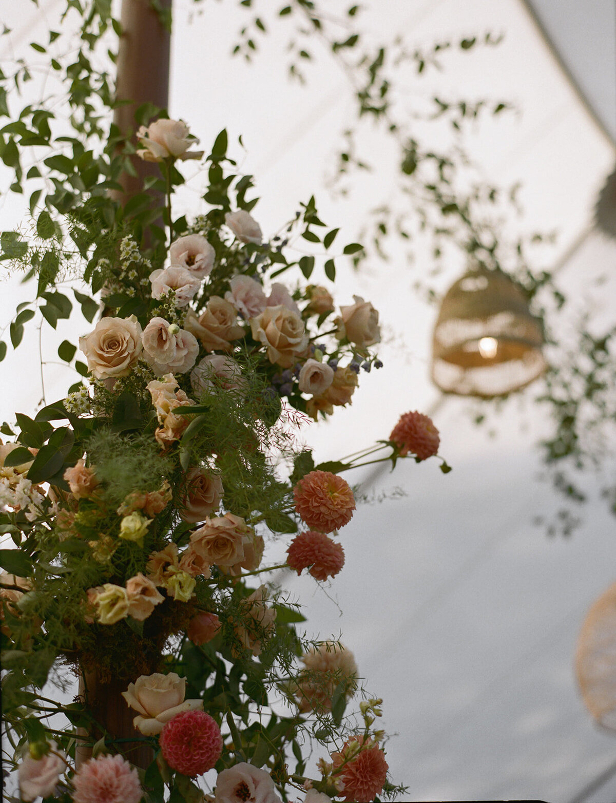Hadley & Griffin Wedding-1421