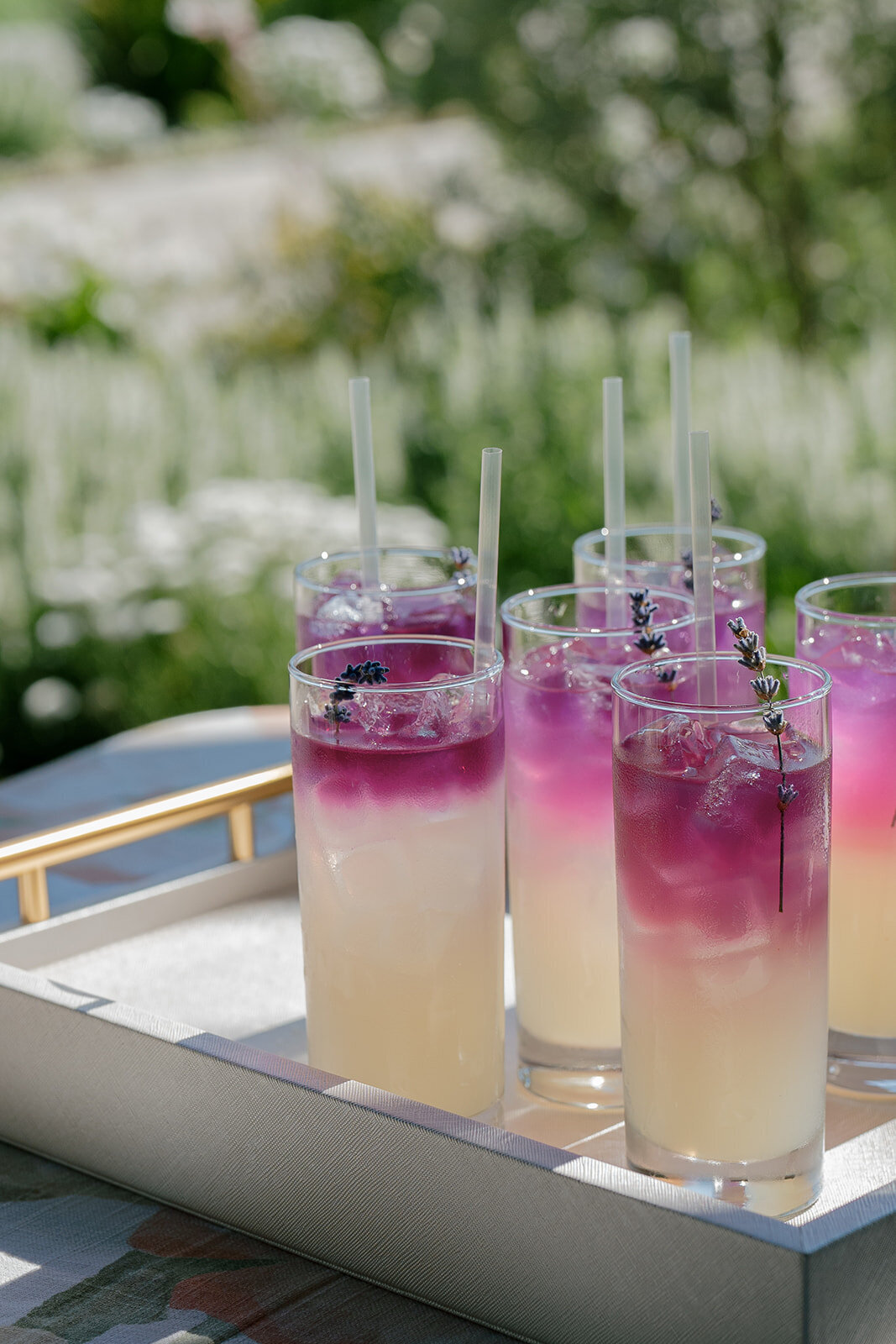 Stanley Ranch Wedding-Elizabeth-Warrick-266