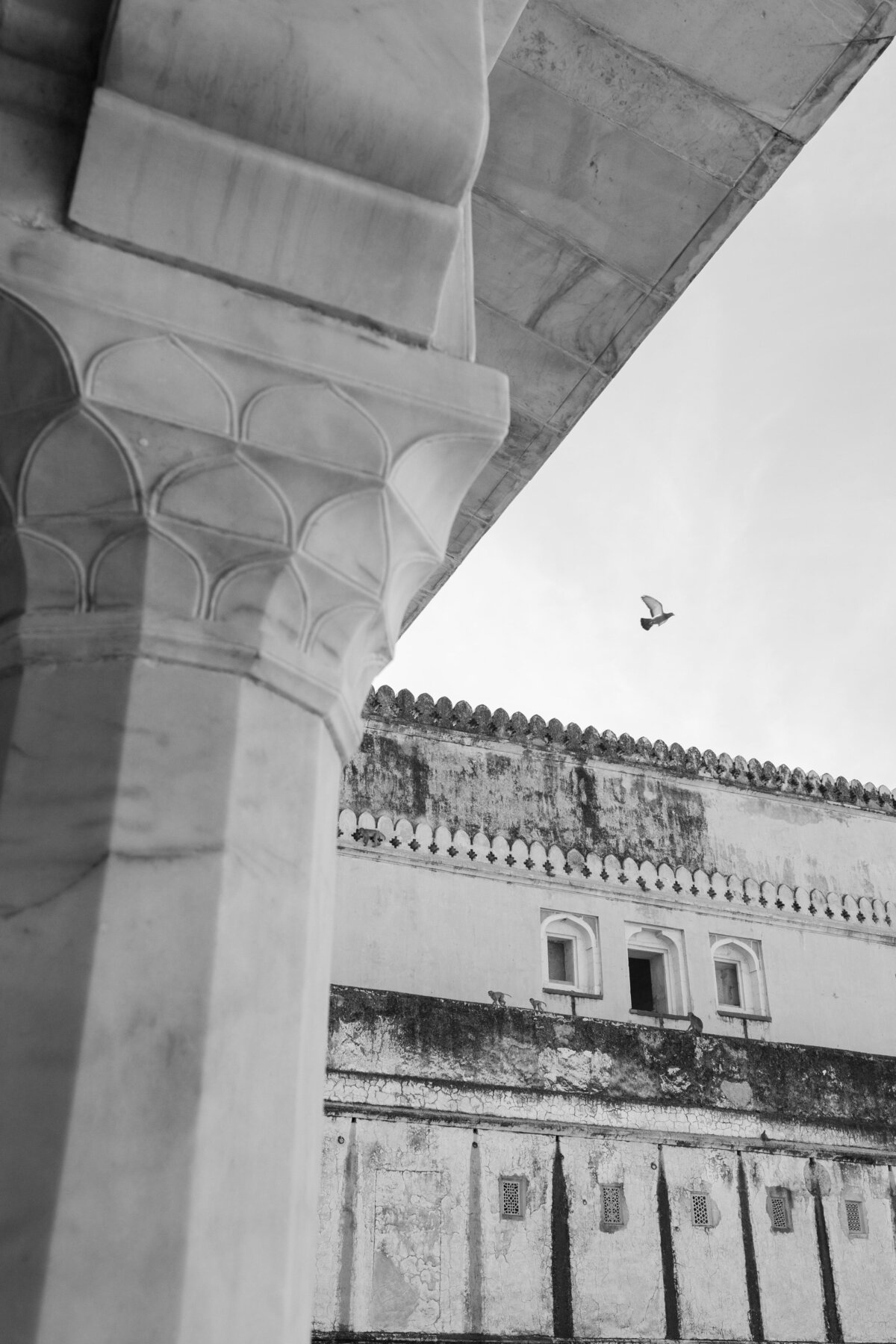 040_IndiaWedding