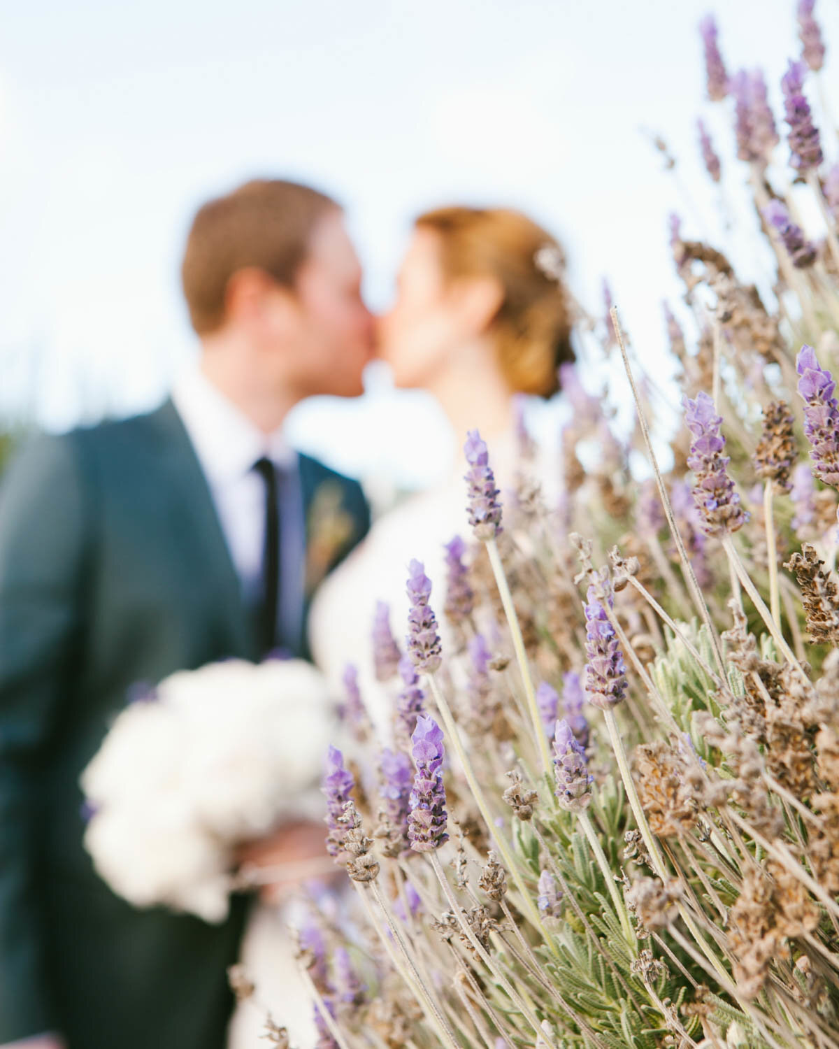 Detailed shot of a lavender bush in focus, and the couple kisses in the background completely blurred
