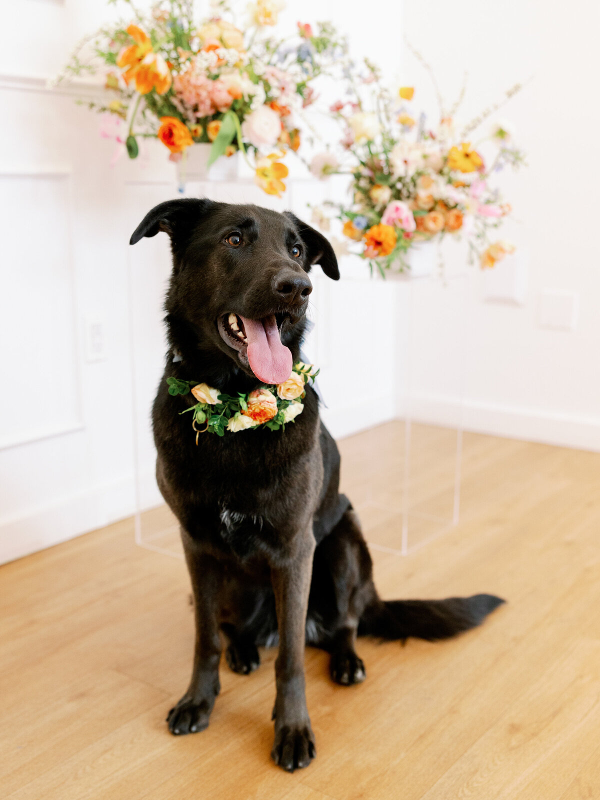 sungold-studios-seattle-wedding-photographer-6