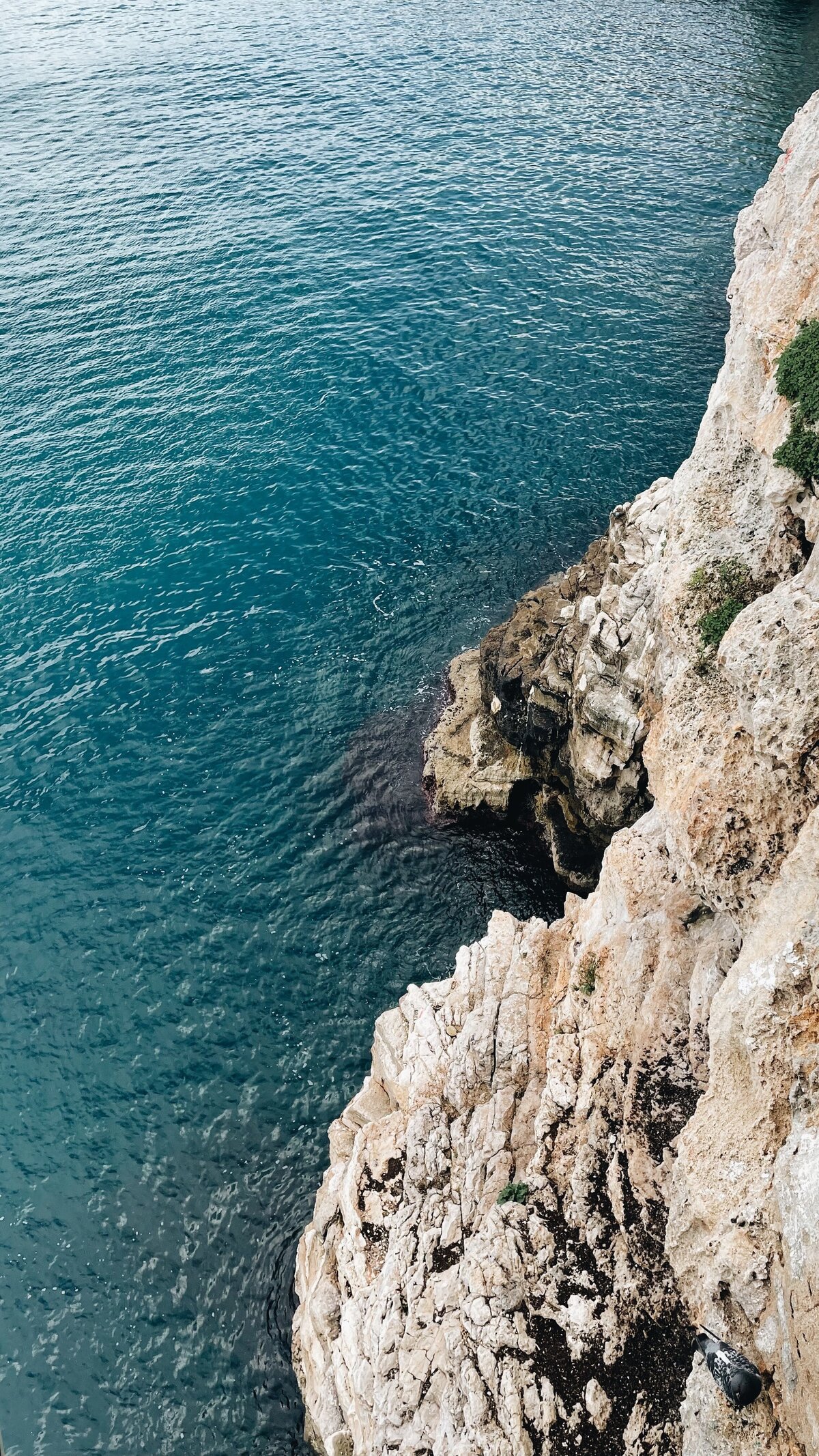zalfa-imani-ou45k0AmC5I-unsplash