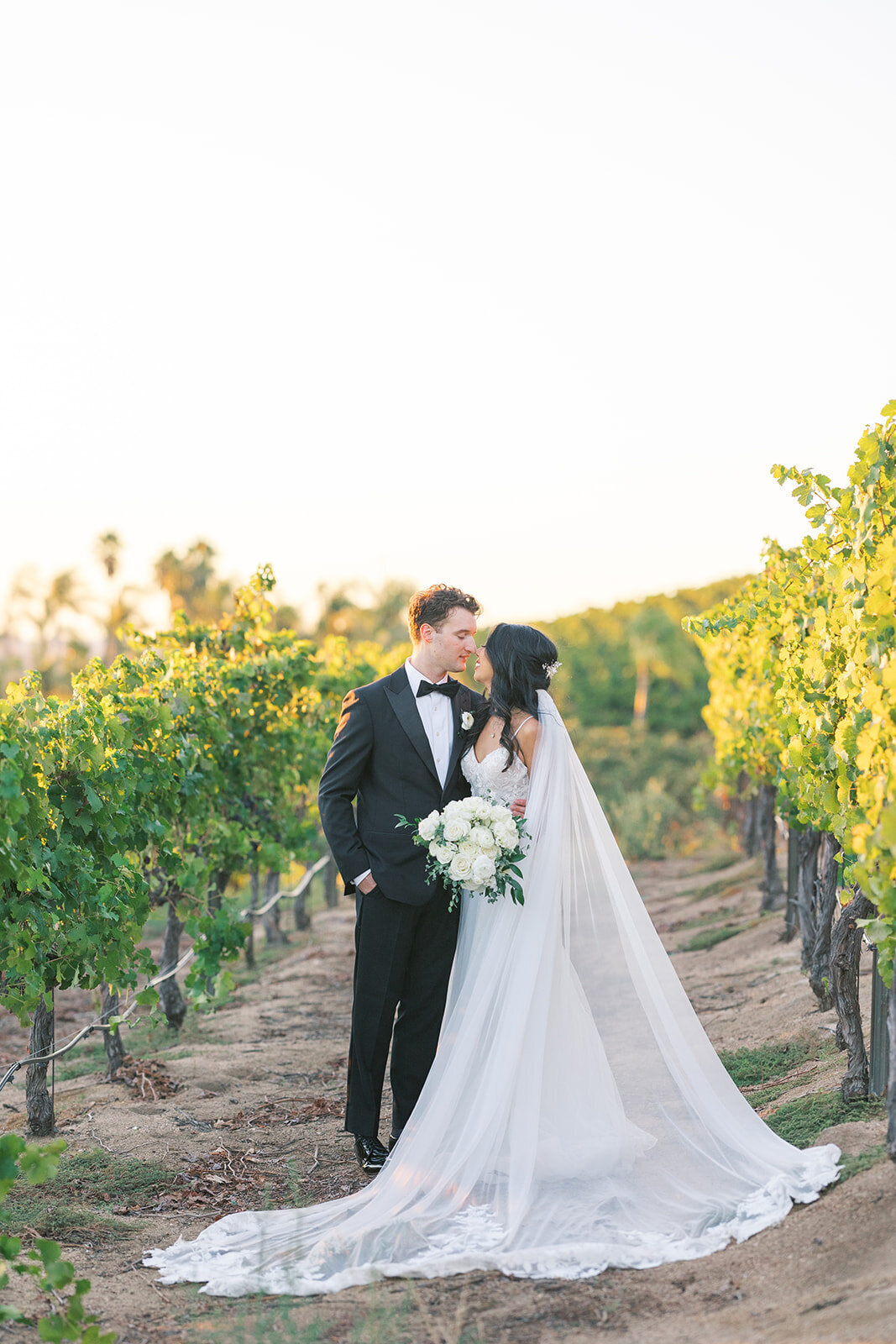 A&H Photo Co. - C&C-149