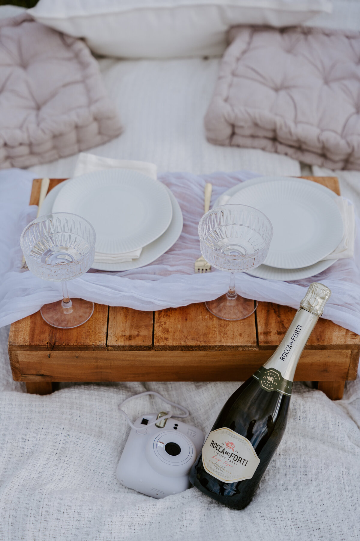 Elopement picnic setup with plates, champagne, and Instax camera.