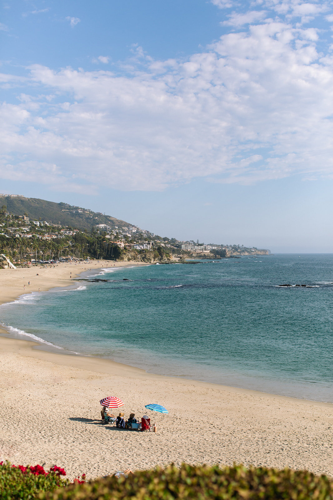 Roku Live - Laguna Beach 2024 - Web Res-404