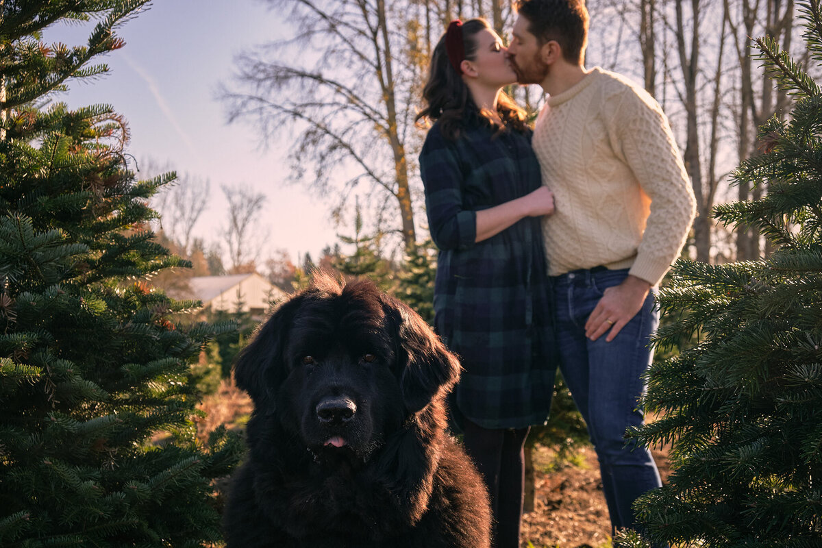 Washington_Holiday_Photographer-3