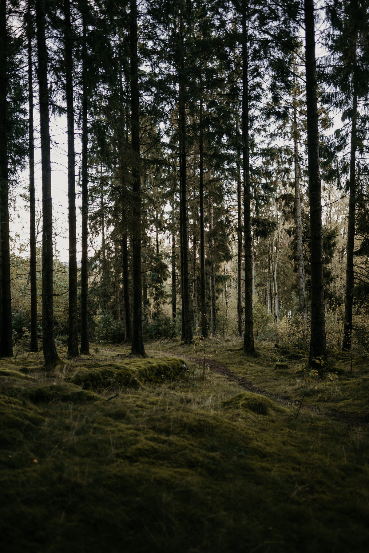 thebohemia-kristincarljohan-693