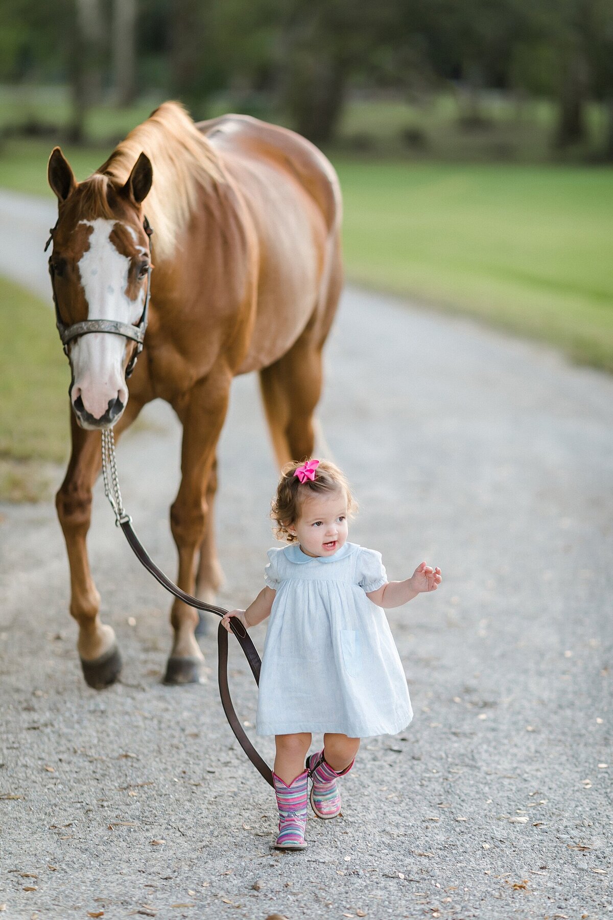 extended family with horses tenniswood - brandi watford photography_0002