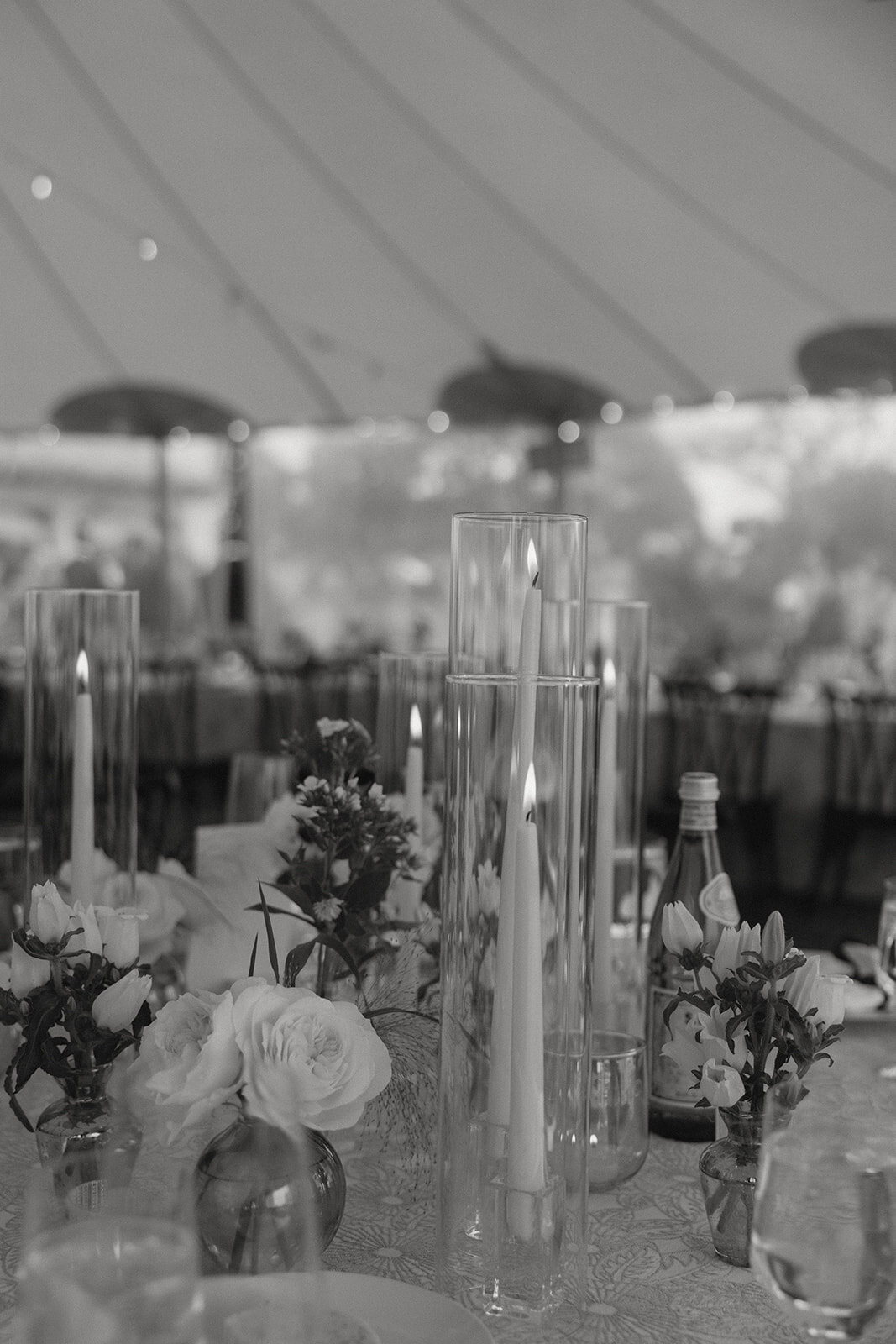 porchianicolephoto-54
