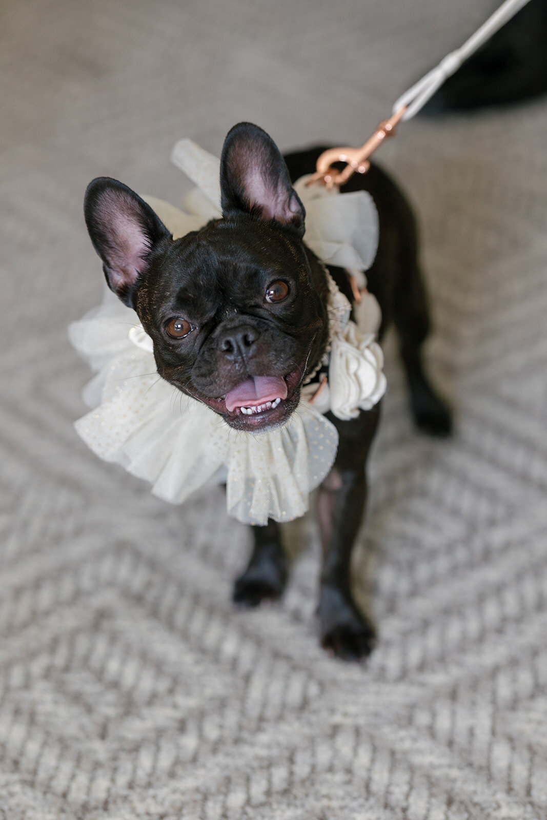 6. Ketubah_SunnyLeePhoto-11