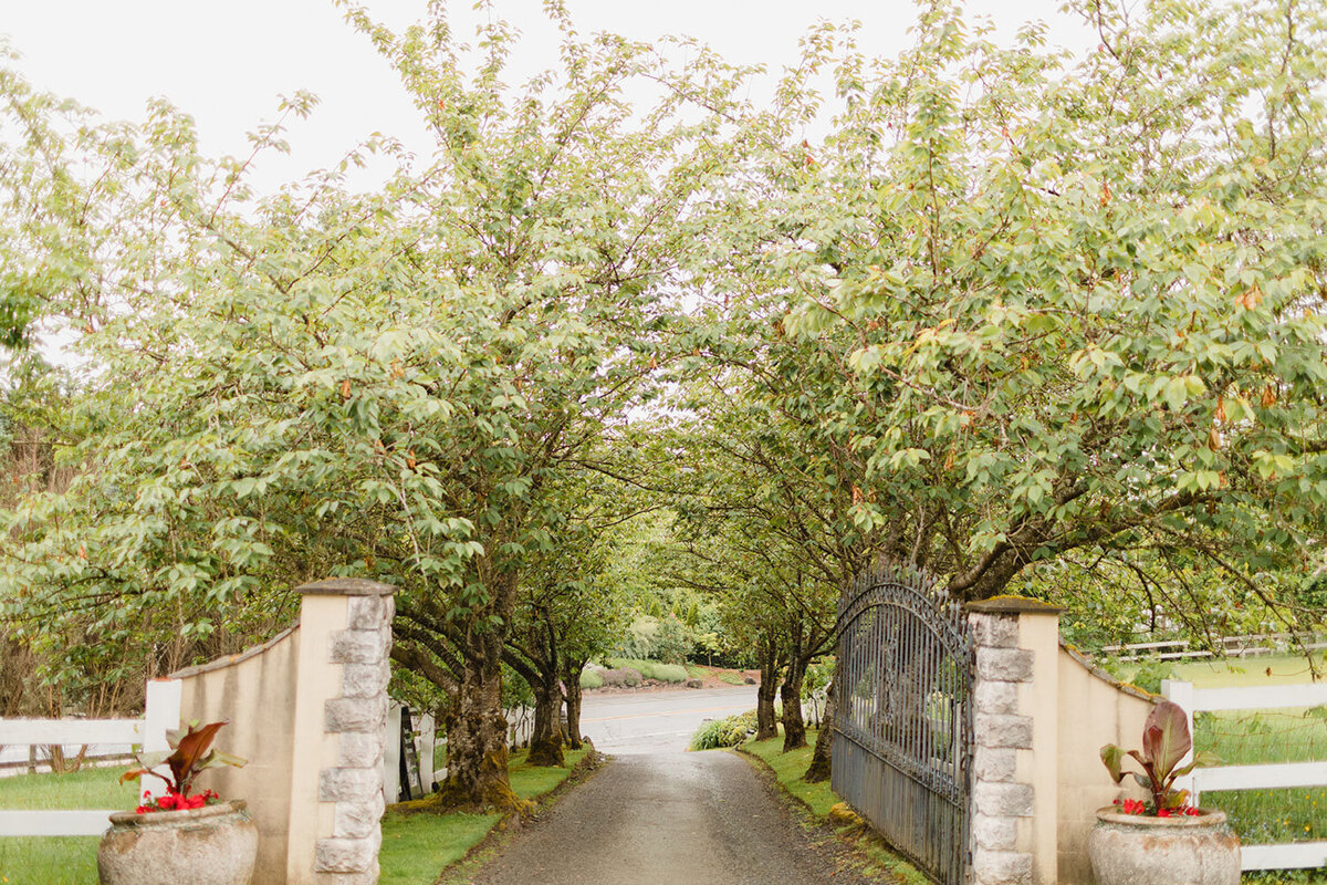 Gated pathway lined with blooming trees creating a natural archway