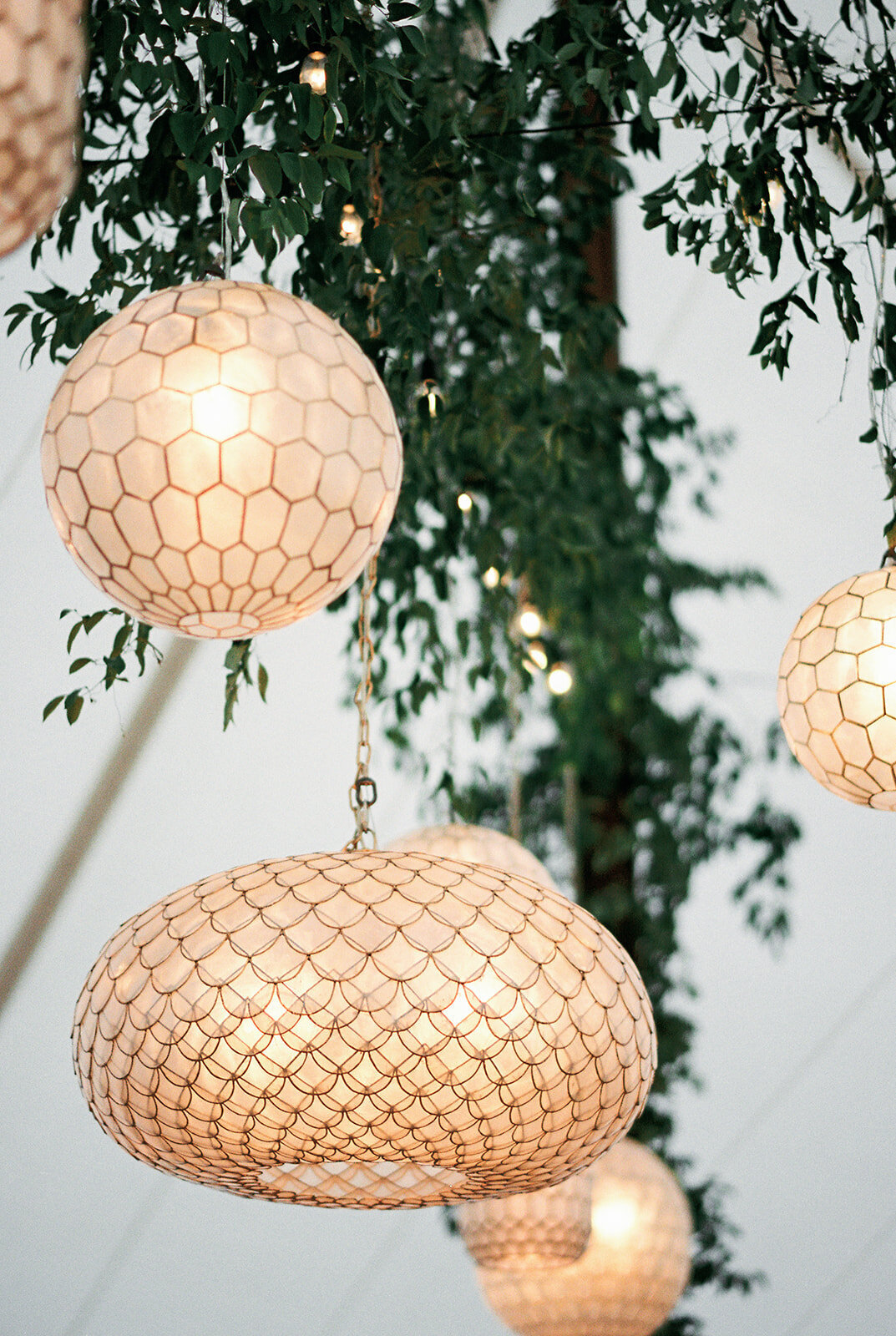 Calluna-Events-Boulder-Greystone-Tent-Lighting
