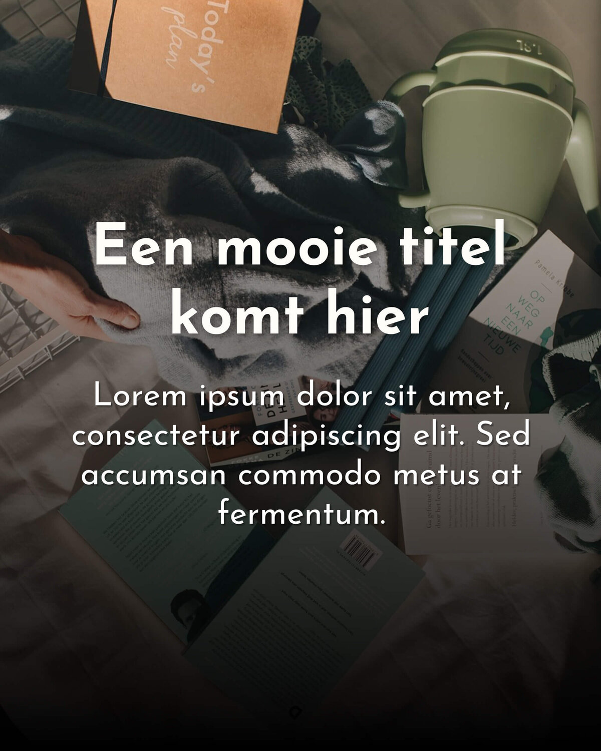 Studio Paoline Kruijssen - portfolio vormgeving - social media templates canva - Firma Opgeruimd - 20