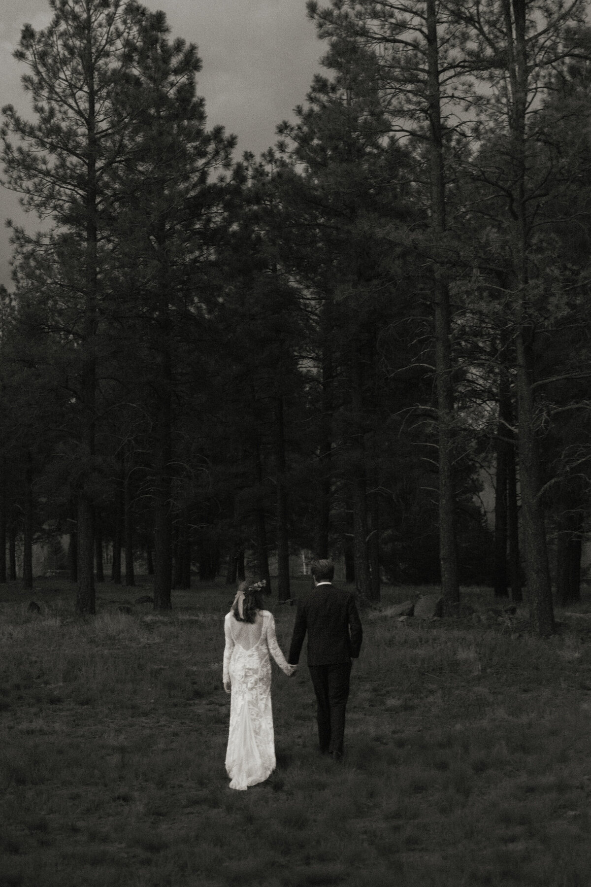 Sarah Folkers Photo Flagstaff Forest Elopement-25
