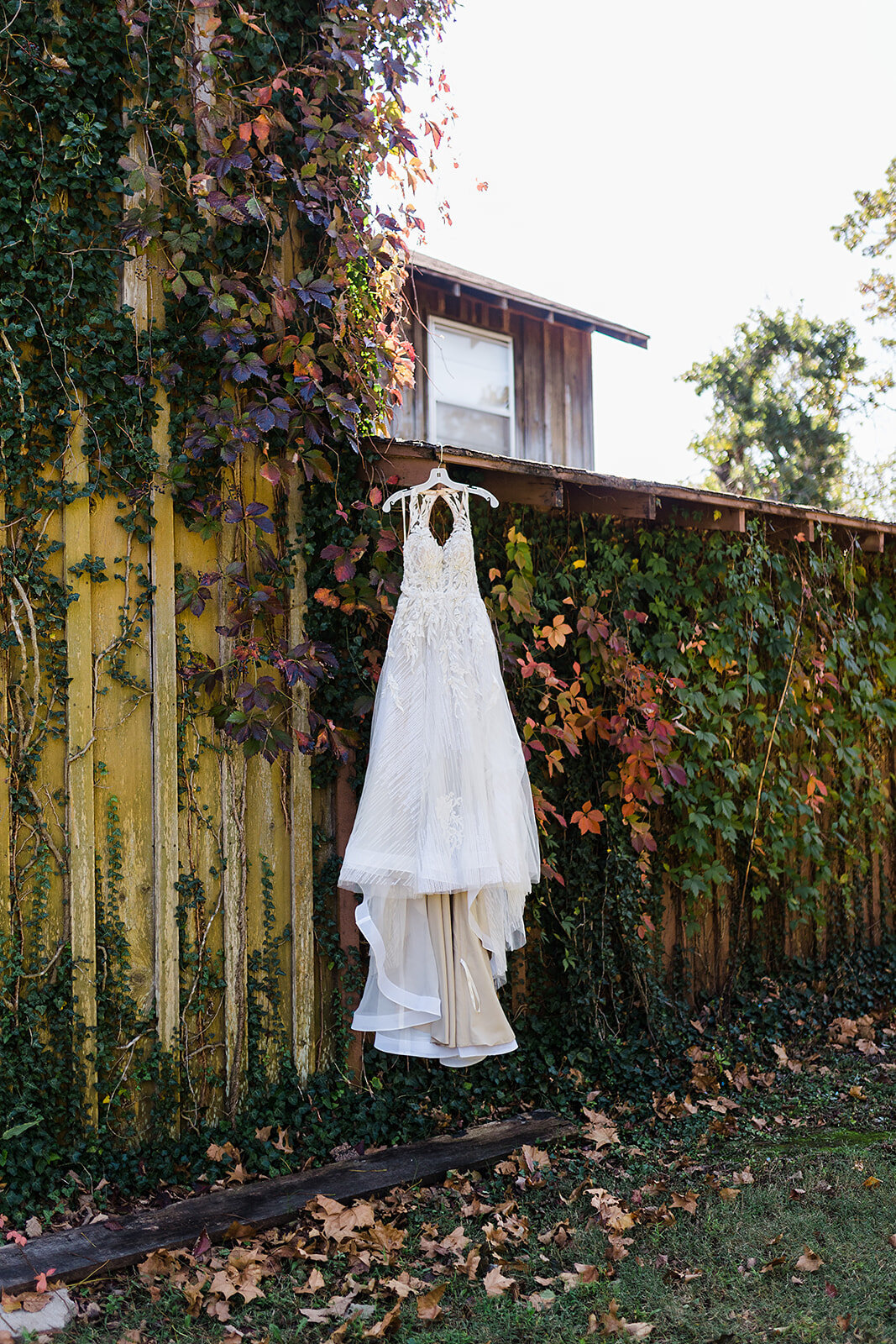 Wedding dress hanging in colorful vines